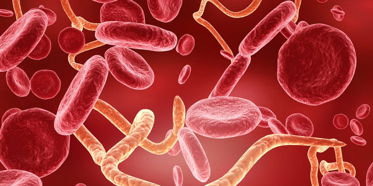 Ebola virus in human body ebola virus in human body 3d illustration