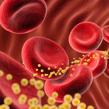 blood cell with cholesterol, 3d illustration.