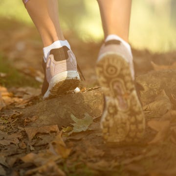 sentiero vipere italia trekking