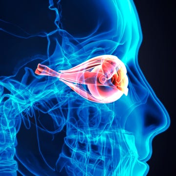 rendering of anatomy of eye placed in pleasing xray of skull