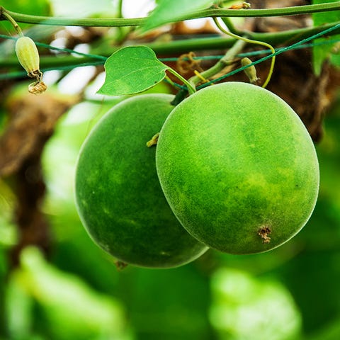 low carb sugar substitute